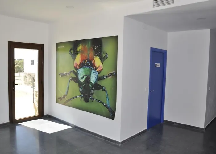 Cruceros Alqueva Челес